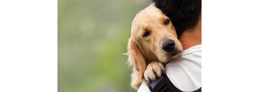 La mejor tienda de productos para mascotas
